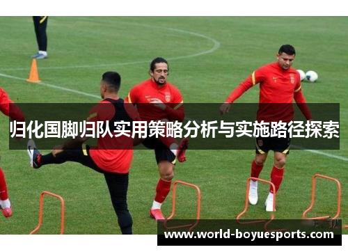 归化国脚归队实用策略分析与实施路径探索